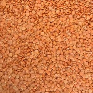 Masoor Dal