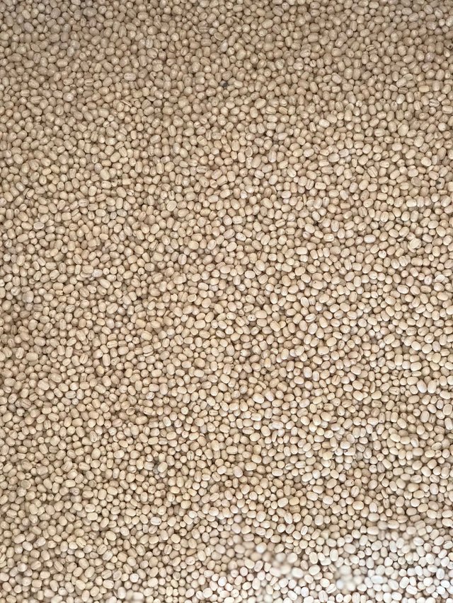 Whole Urad Dal